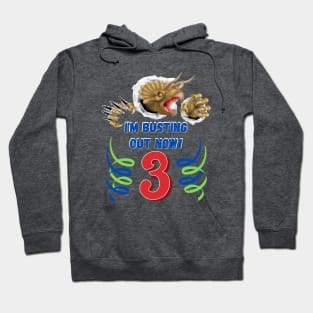 3rd Birthday Dinosaur Busting Out! Hoodie